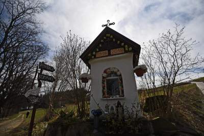 Krokusowa polana w Gorcach - zdjęcie 2