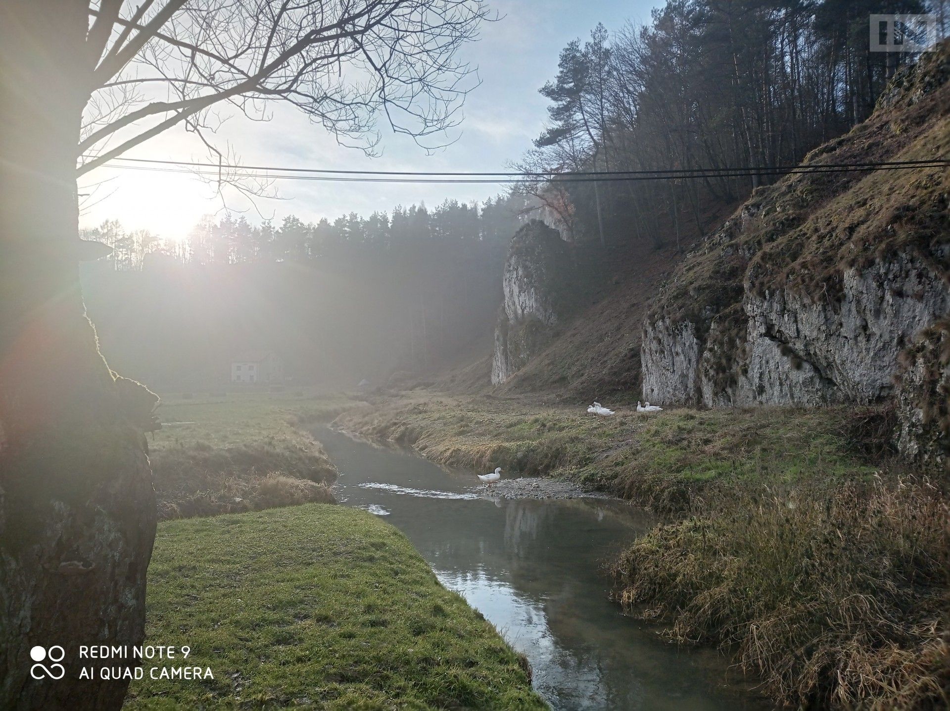 Tak w ten weekend pojadą autobusy do Ojcowa i ZOO