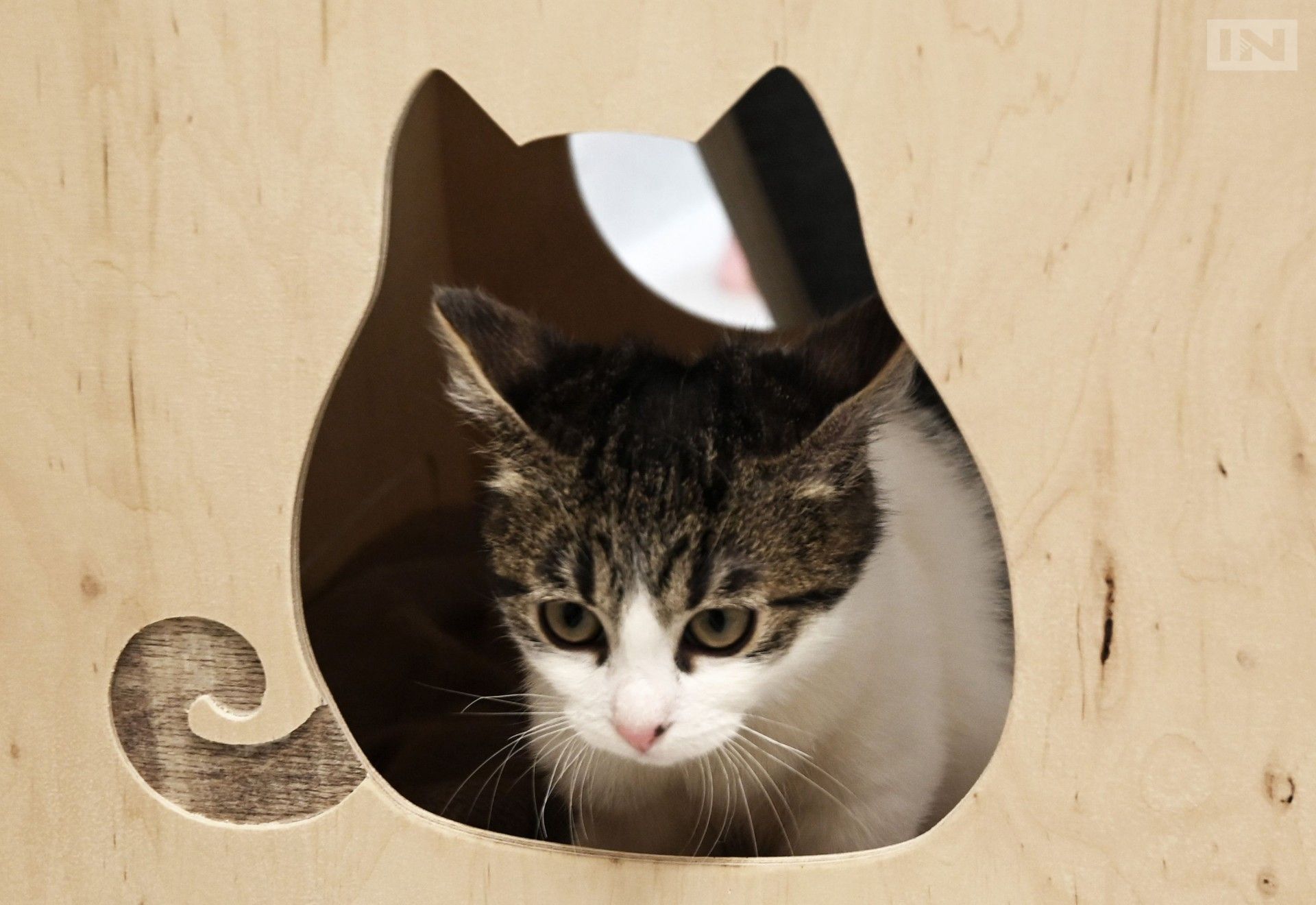 Azyl prosi o pomoc, przed nim najtrudniejsze miesiące