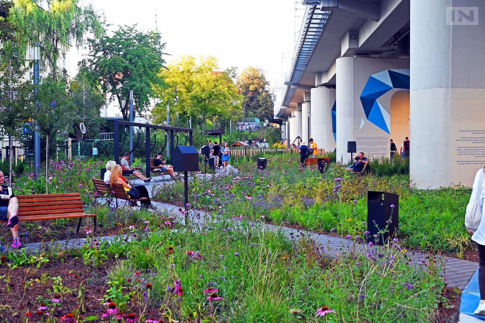 Apel Zarządu Zieleni Miejskiej w Krakowie w sprawie... koniczyny