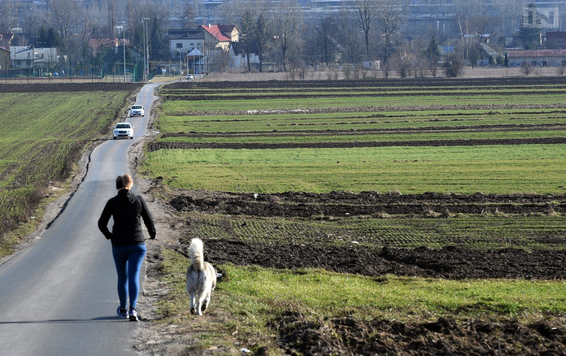 Kraków będzie miał „Park Wiernych Przyjaciół”, z grzebowiskiem dla zwierząt