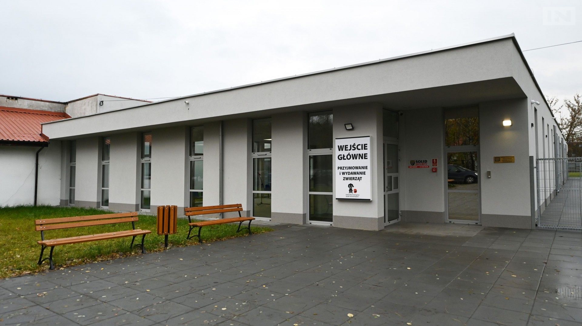 Co się dzieje w krakowskim azylu dla zwierząt? Opiekunowie przypominają