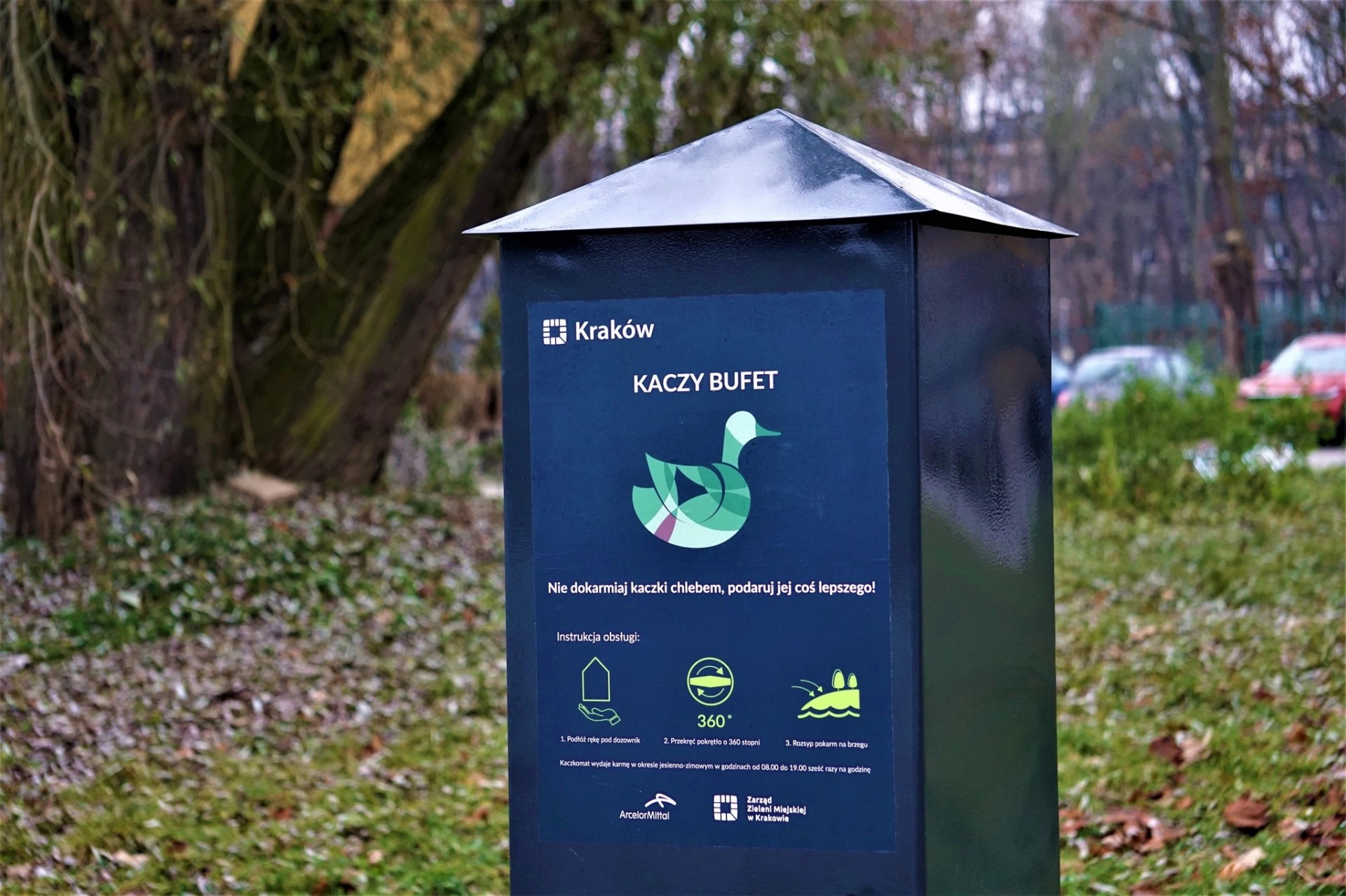 Kacze bufety w krakowskich parkach. "Są idealnym rozwiązaniem"