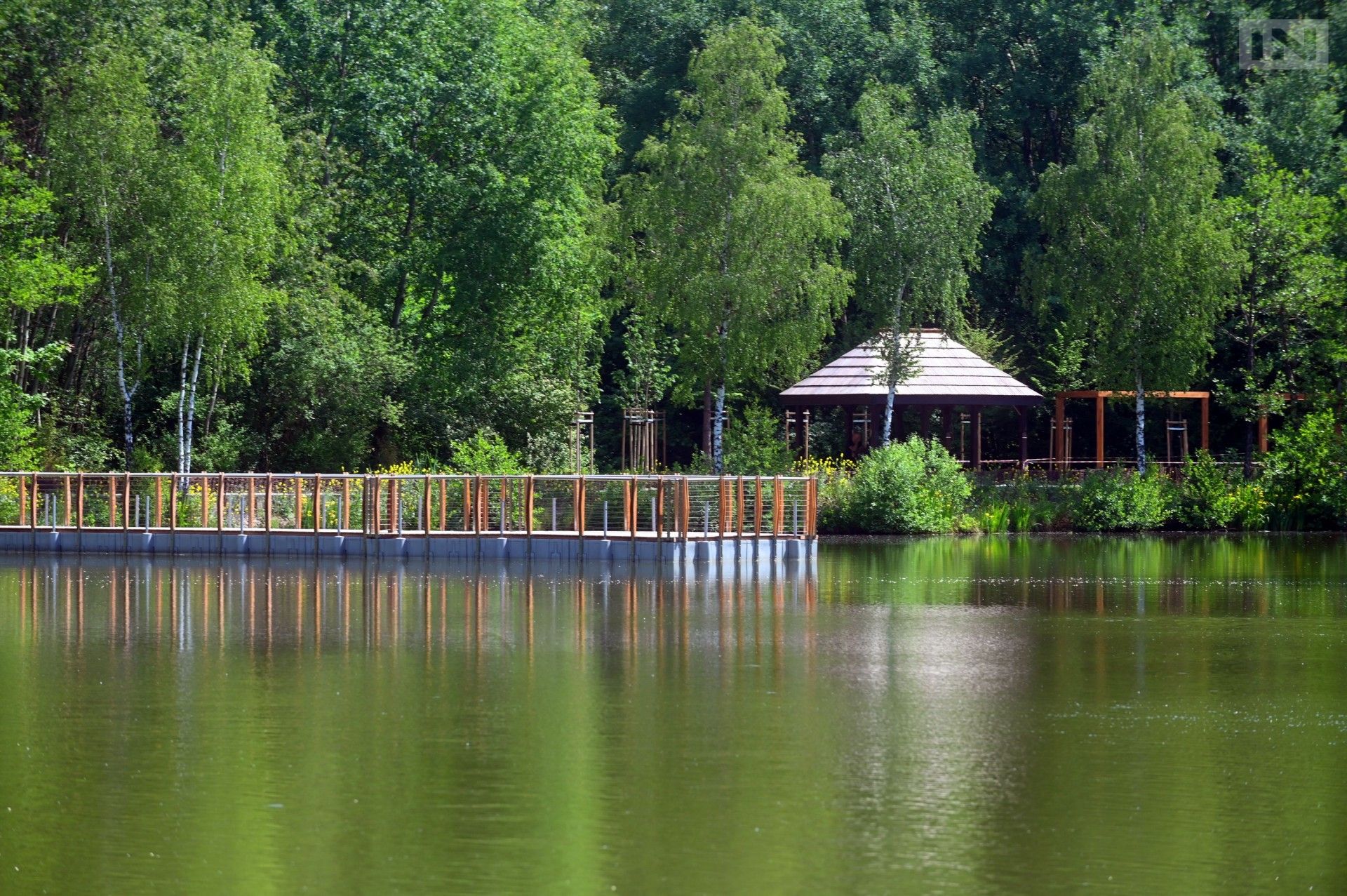 Mieszkańcy Krakowa mają zdecydować o przyszłości zieleni w mieście