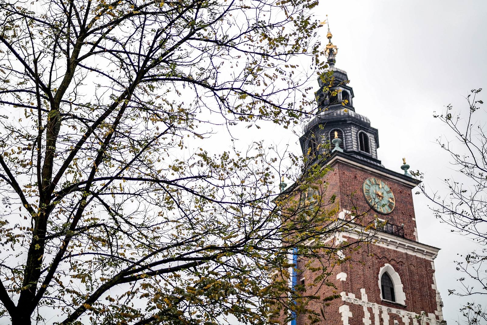 Podziemia pod Wieżą Ratuszową odzyskają dawną świetność