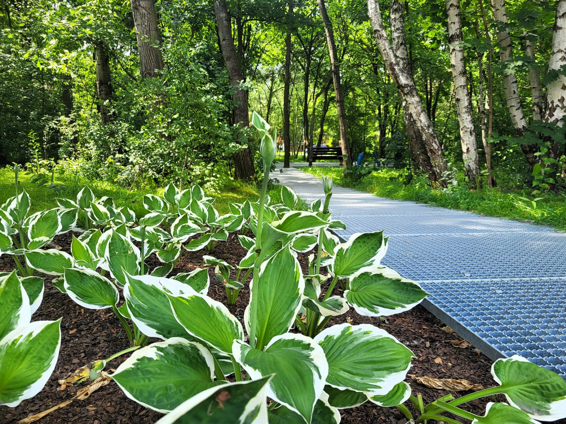 Piękne, nowe, zielone enklawy w Krakowie. Zamiast kostki krata pomostowa