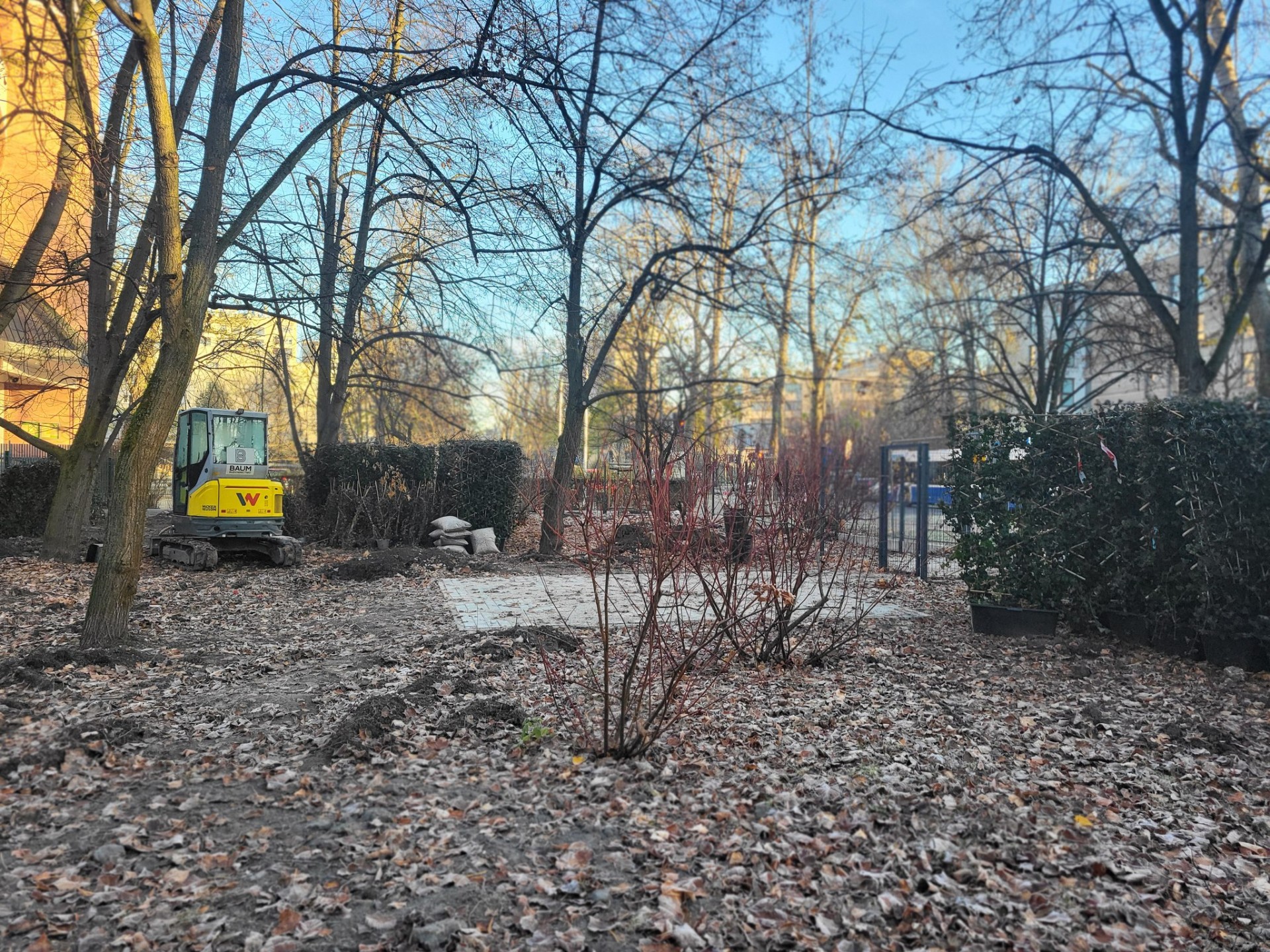 Coraz więcej takich miejsc w Krakowie, nowy wybieg dla psów przy Kijowskiej