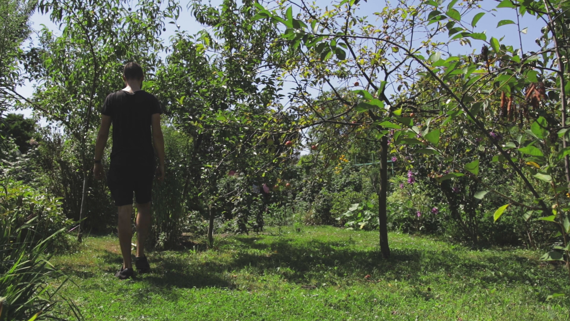 W Krakowie wyrosną deszczowe i warzywne ogrody, lek na zmiany klimatu