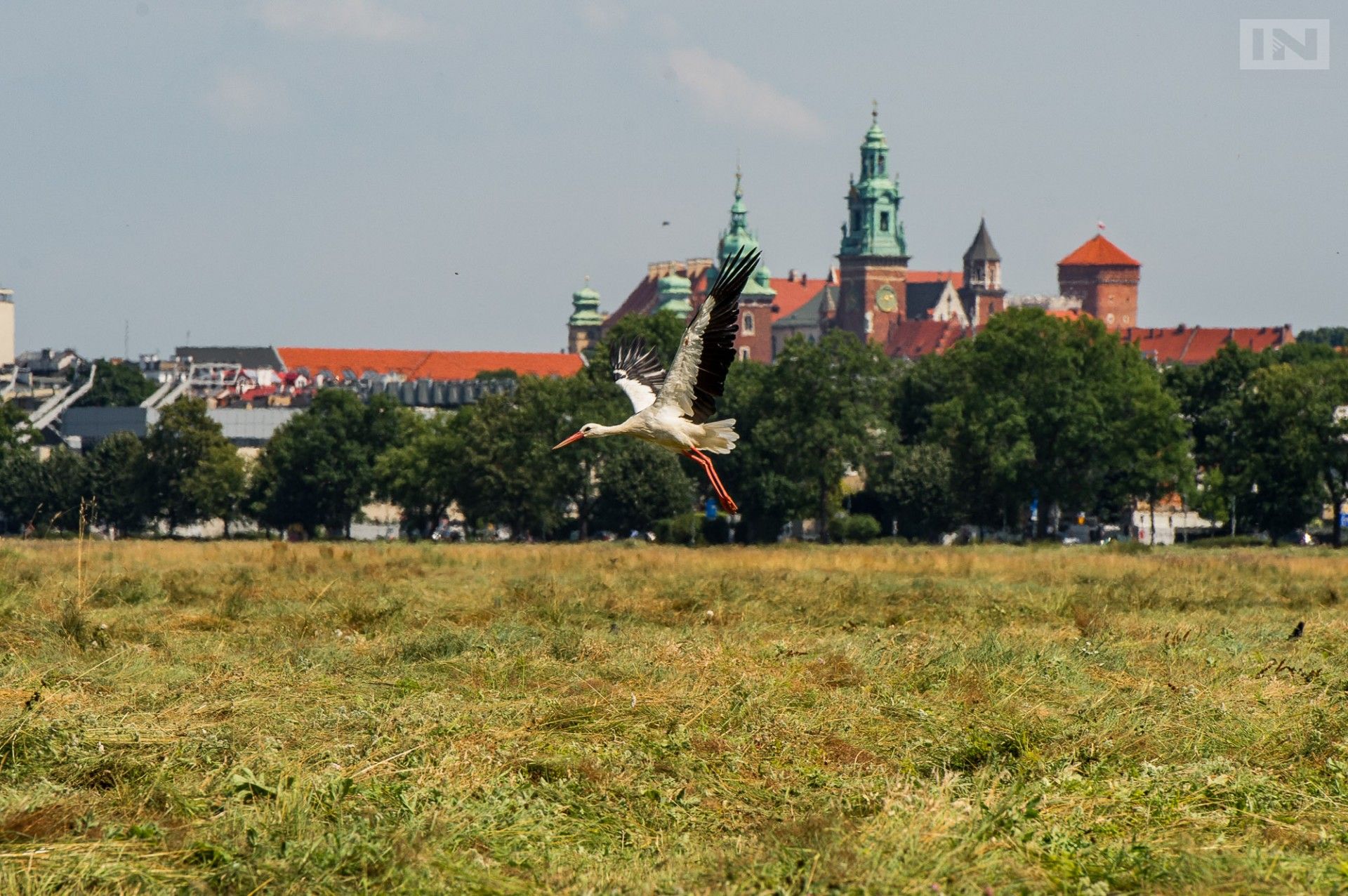 Kraków nagrodzony za walkę ze zmianami klimatycznymi