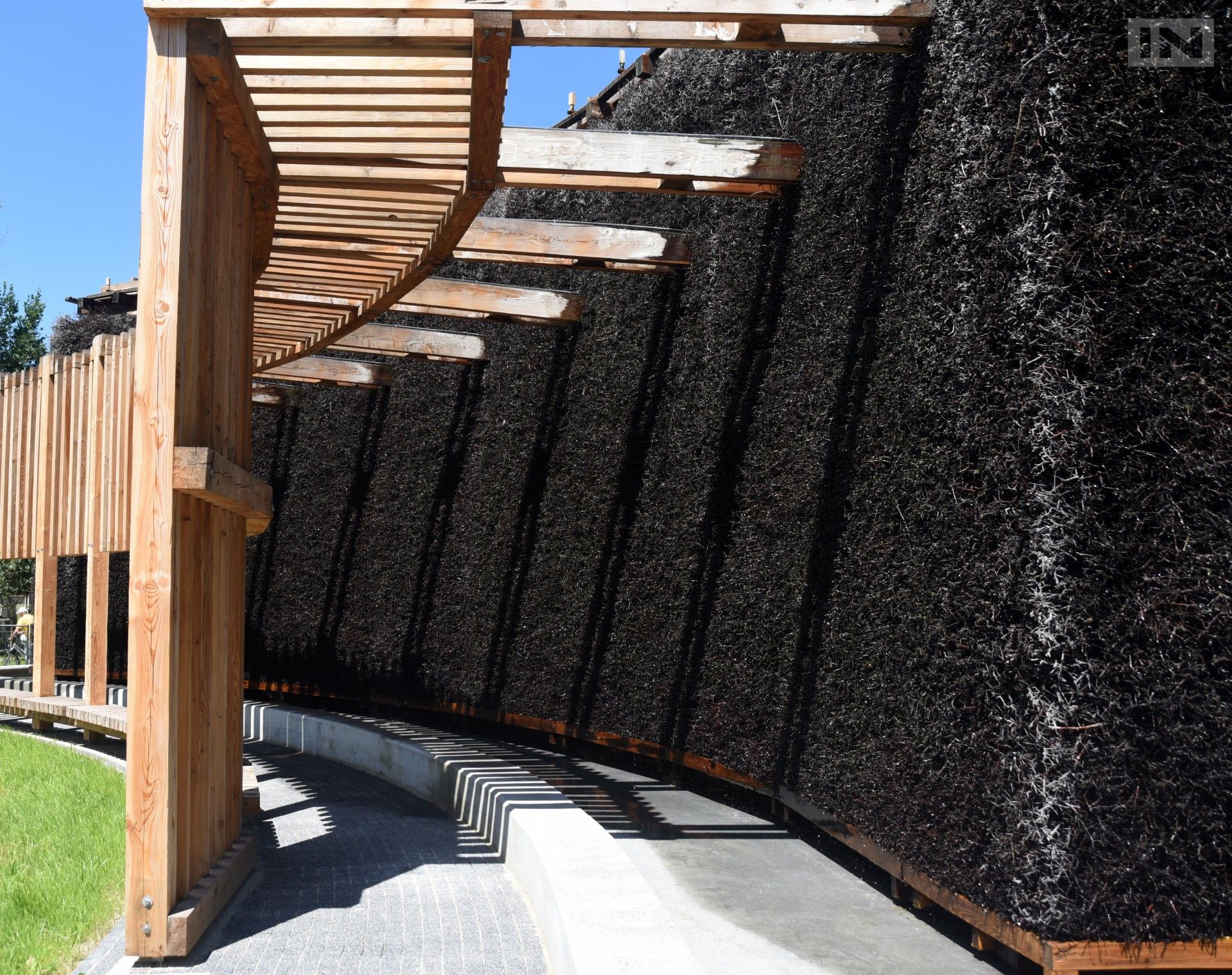 Aktywiści: budowanie tężni solankowych w Krakowie nie ma sensu