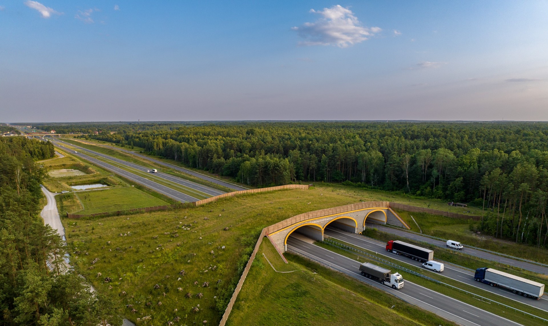 Co się dzieje na przejściach dla zwierząt na autostradach i ekspresówkach?