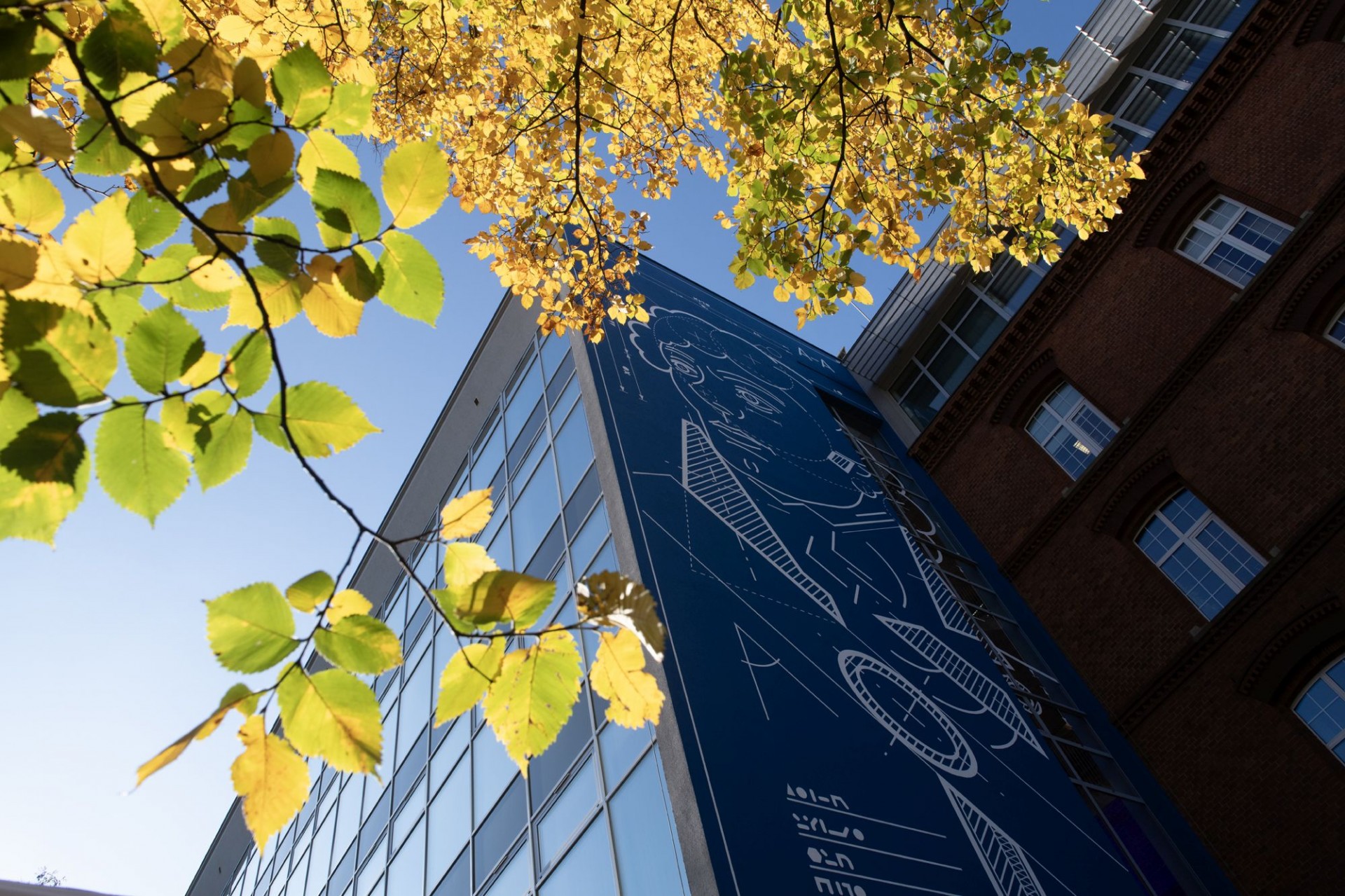 Nowy mural w Krakowie. Autora wybrano w konkursie