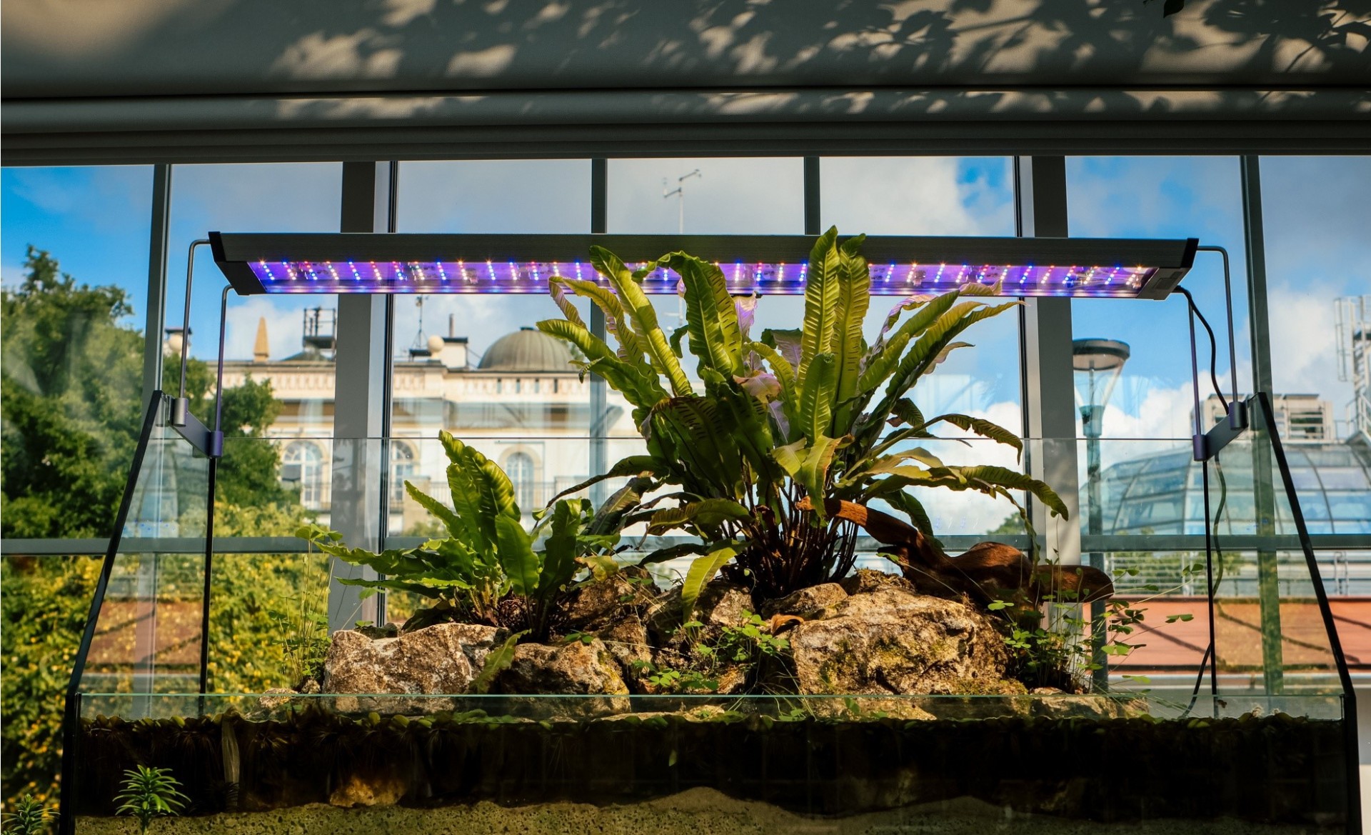 Nowe fajne miejsce w krakowskim Ogrodzie Botanicznym, przypomina o kruchości flory