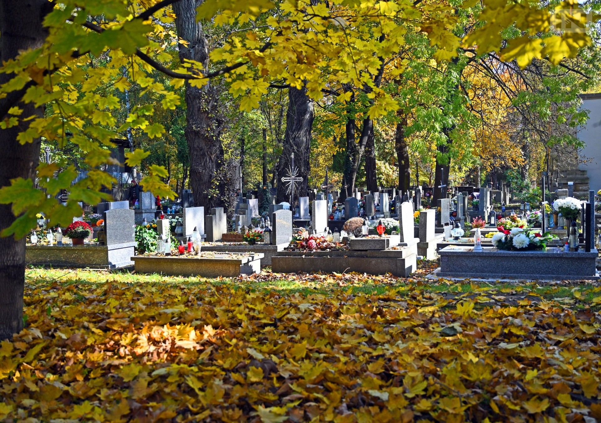 Rekordowe pieniądze na inwestycje na krakowskich cmentarzach