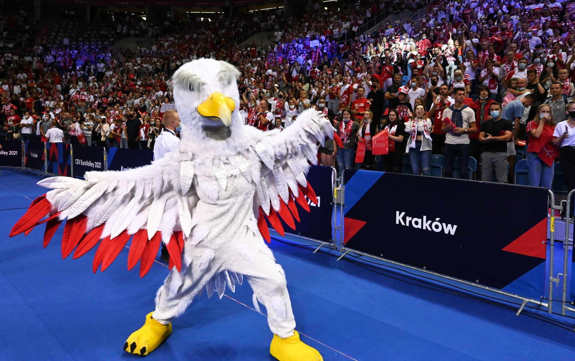 Orły fruwają w Krakowie. Zwycięstwo po szalonym meczu
