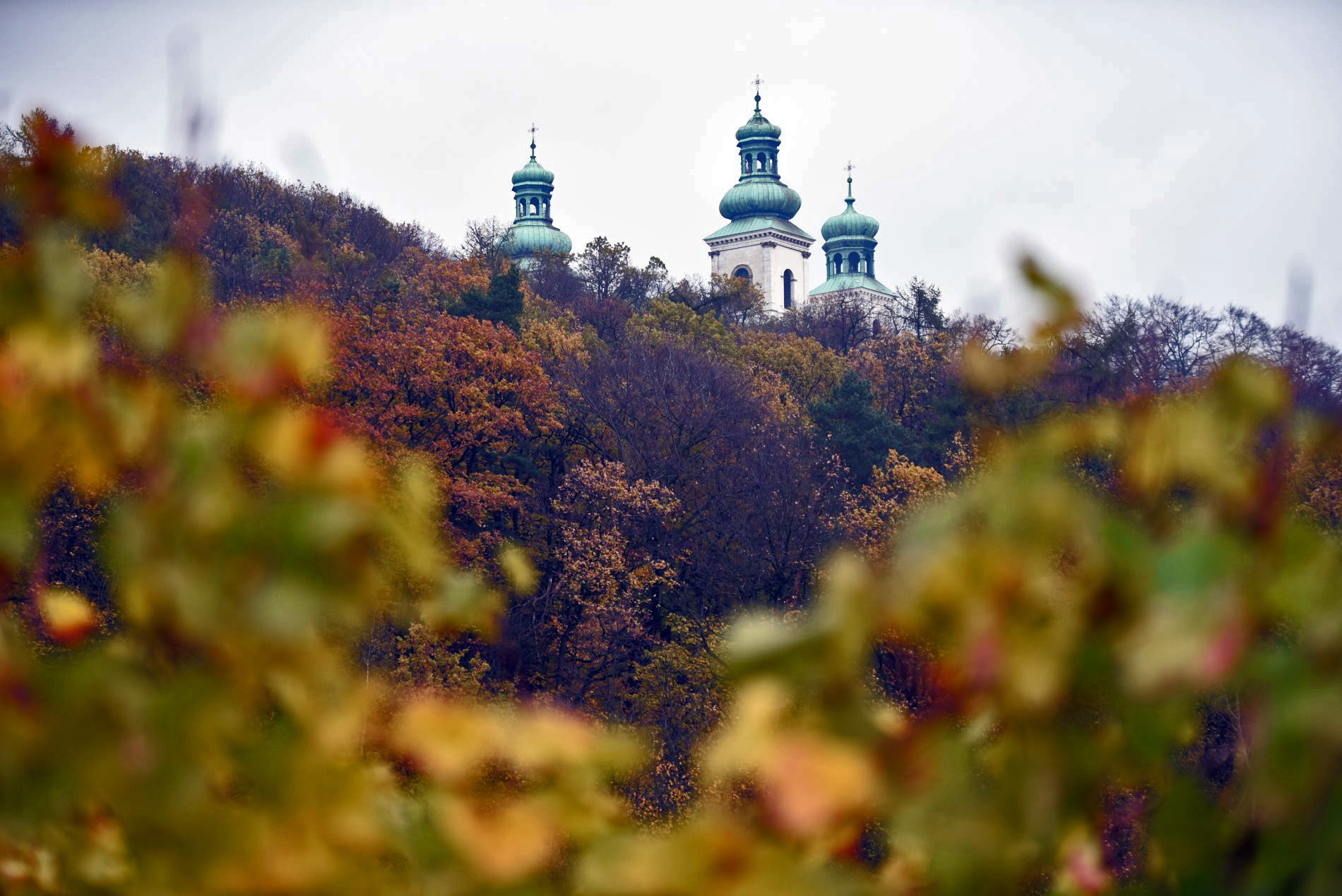 Srebrna Góra, najpiękniejsza winnica w Polsce