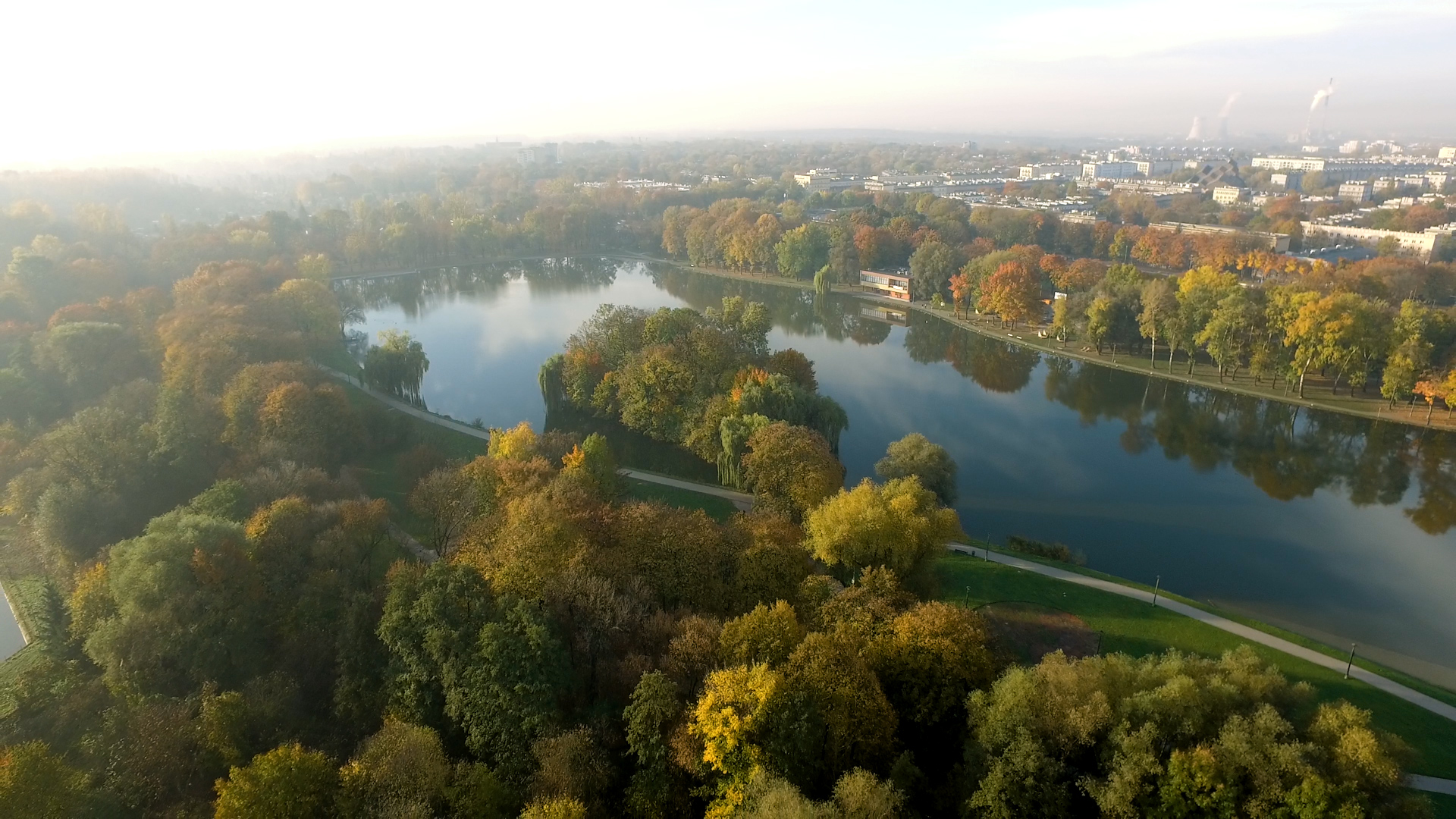 Dzika wyspa w środku miasta, tu królują kaczki